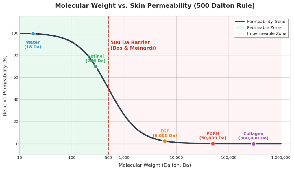PDRN salmon DNA ingredient used in K-beauty skincare