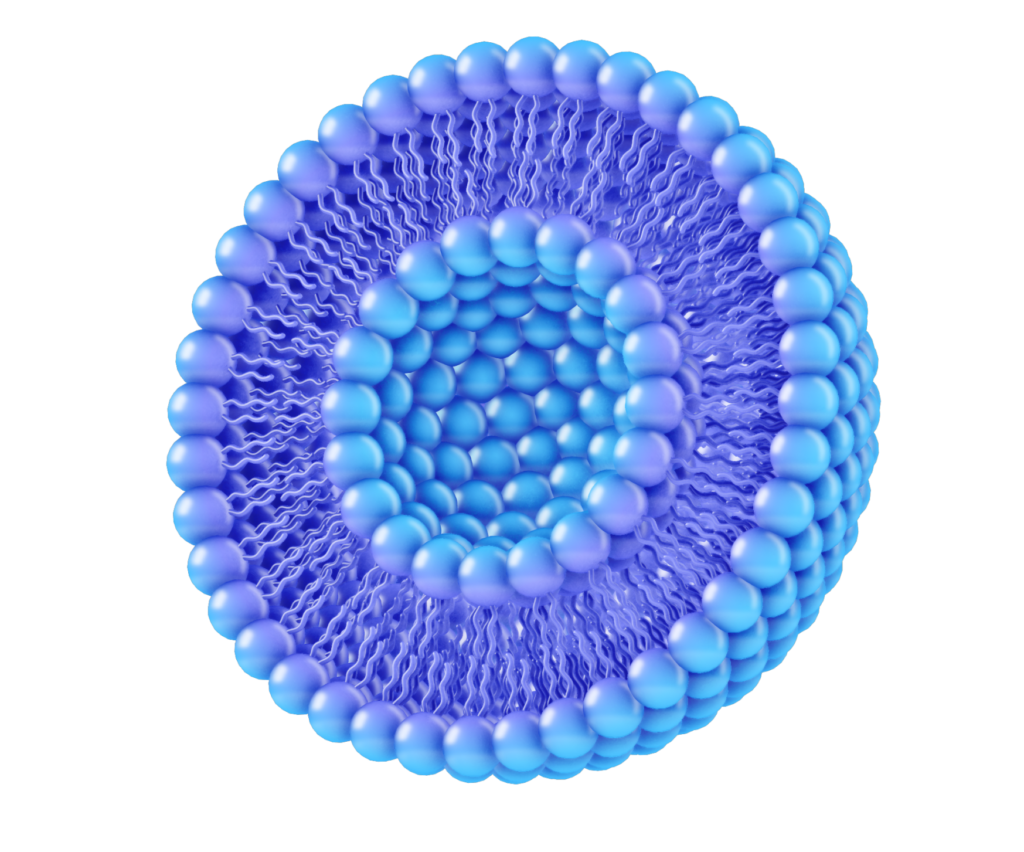 Korean exosome skincare research and ingredient claims